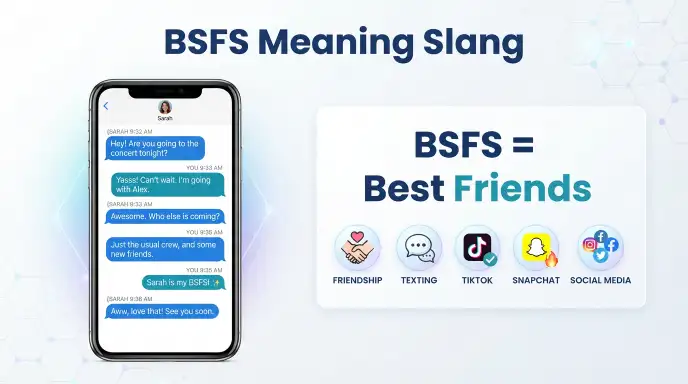bsfs meaning slang