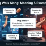 dog walk slang