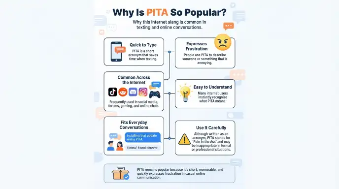 Why Is PITA So Popular?