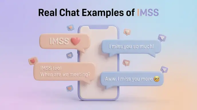 Real Chat Examples of IMSS