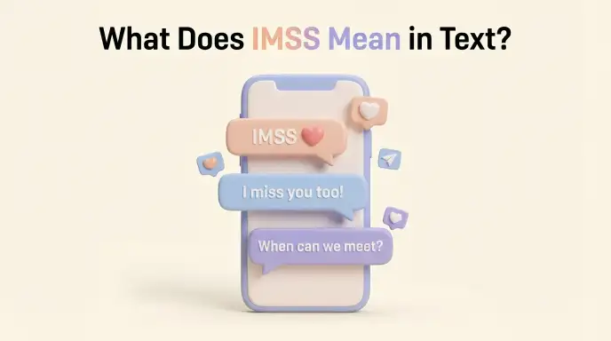 what does imss mean in text
